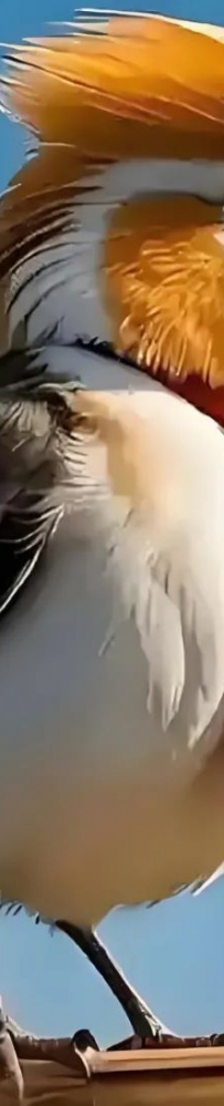 关税巨震下的金融博弈:全球市场面临重构