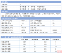 2025“一带一路”基建指数国别报告--阿拉伯联合酋长国
