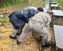 【一带一路故事】泥泞中的逆行映照