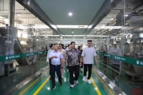 理想华莱|丝路茶香引客来,一带一路国际联合集团董事局主席一行调研理想华莱