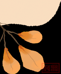 特朗普关税大棒突然转弯,39类商品豁免!