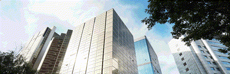 一带一路涉外合作丨莫桑比克驻华大使盛邀,国樽携企业代表共商中莫可持续发展新路径